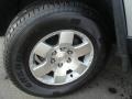 Titanium Metallic - FJ Cruiser 4WD Photo No. 25