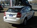 Bright Silver Metallic - Caliber SE Photo No. 6