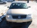 Mojave Beige Metallic - Passat GLX 4Motion Sedan Photo No. 3