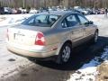 Mojave Beige Metallic - Passat GLX 4Motion Sedan Photo No. 4