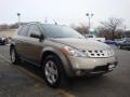 2004 Polished Pewter Metallic Nissan Murano SL AWD  photo #14