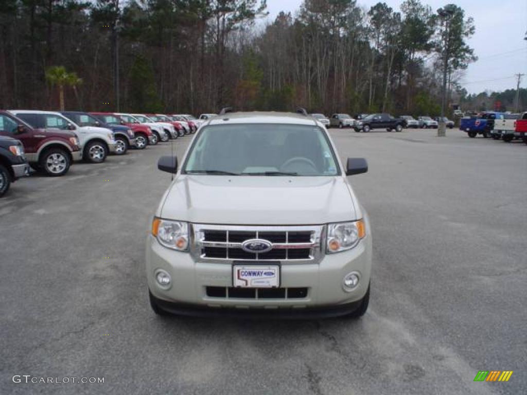 2009 Escape XLT V6 - Light Sage Metallic / Stone photo #2