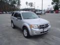 2009 Brilliant Silver Metallic Ford Escape XLT V6  photo #3