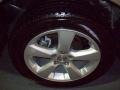 2004 Savannah Beige Metallic Lexus RX 330  photo #7