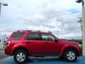 2009 Redfire Pearl Ford Escape XLT  photo #6