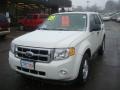 2009 White Suede Ford Escape XLT V6 4WD  photo #16