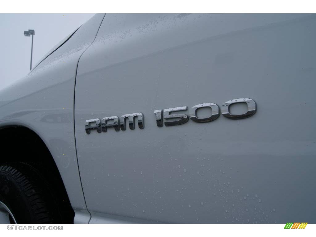 2006 Ram 1500 SLT Quad Cab 4x4 - Bright White / Medium Slate Gray photo #10