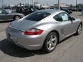 Arctic Silver Metallic - Cayman S Photo No. 6