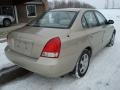 2001 Champagne Hyundai Elantra GLS  photo #3