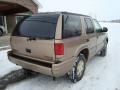 Smokey Caramel Metallic - Bravada AWD Photo No. 5