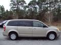 2009 Light Sandstone Metallic Chrysler Town & Country LX  photo #10