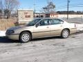 Sandstone Metallic - Impala  Photo No. 1