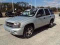 2007 Moondust Metallic Chevrolet TrailBlazer LS  photo #1