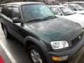 Dark Green Pearl Metallic - RAV4 4WD Photo No. 4