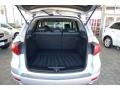 Alabaster Silver Metallic - RDX  Photo No. 25