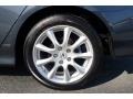 Carbon Gray Pearl - TSX Sedan Photo No. 18