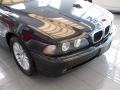 2003 Jet Black BMW 5 Series 530i Sedan  photo #12
