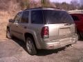 2003 Light Pewter Metallic Chevrolet TrailBlazer LS  photo #4