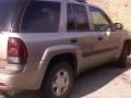 2003 Light Pewter Metallic Chevrolet TrailBlazer LS  photo #5