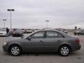 Willow Gray - Sonata GLS Photo No. 2