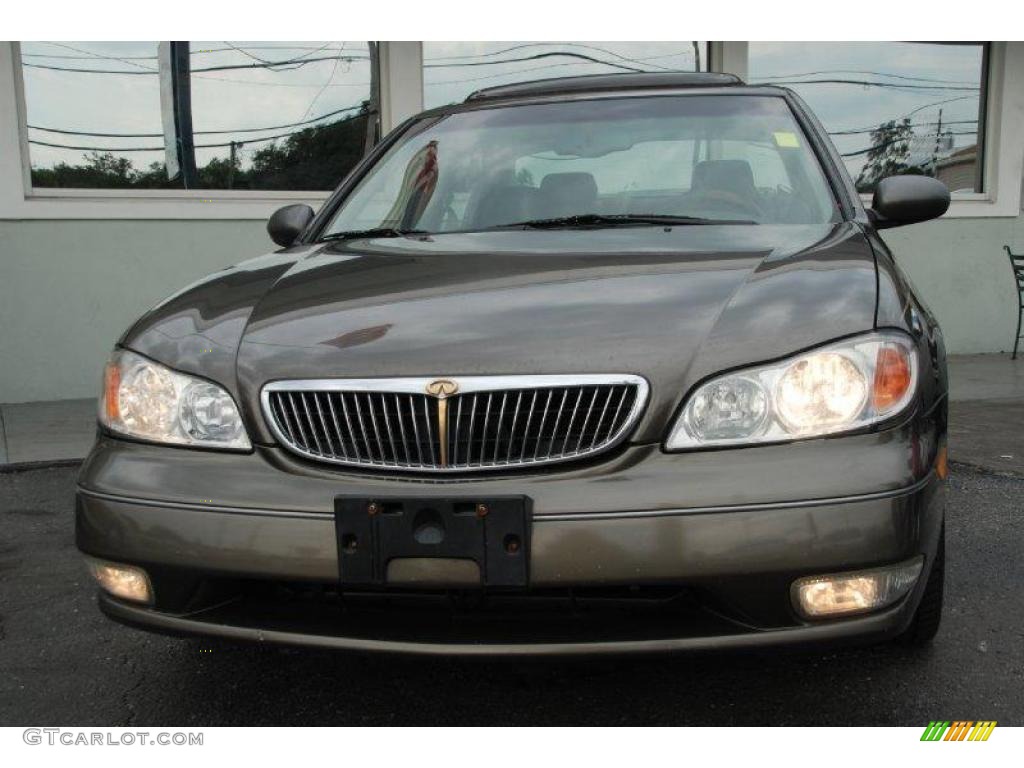 2000 I 30 - Autumn Bronze Pearl / Beige photo #5