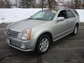 Light Platinum - SRX V6 Photo No. 1