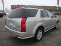 Light Platinum - SRX V6 Photo No. 7