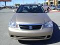 2008 Champagne Beige Metallic Suzuki Forenza   photo #23