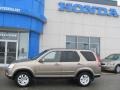 2006 Sahara Sand Metallic Honda CR-V SE 4WD  photo #3