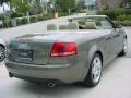 Alpaka Beige Metallic - A4 2.0T Cabriolet Photo No. 5