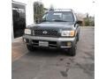 Sherwood Green - Pathfinder LE 4x4 Photo No. 4