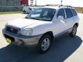 2003 Nordic White Hyundai Santa Fe I4  photo #6