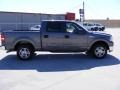 Dark Shadow Grey Metallic - F150 XLT SuperCrew Photo No. 5