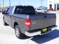 Dark Shadow Grey Metallic - F150 XLT SuperCrew Photo No. 8