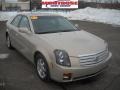 Gold Mist - CTS Sedan Photo No. 23