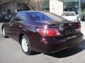 Black Garnet Pearl - ES 300 Photo No. 4