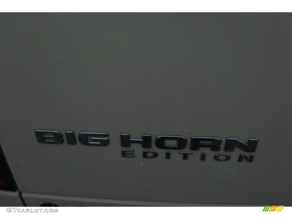 2007 Ram 1500 Big Horn Edition Quad Cab - Cool Vanilla / Medium Slate Gray photo #14