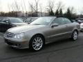 Pewter Metallic - CLK 350 Cabriolet Photo No. 2