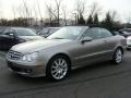 2007 Pewter Metallic Mercedes-Benz CLK 350 Cabriolet  photo #2