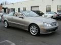 2007 Pewter Metallic Mercedes-Benz CLK 350 Cabriolet  photo #4