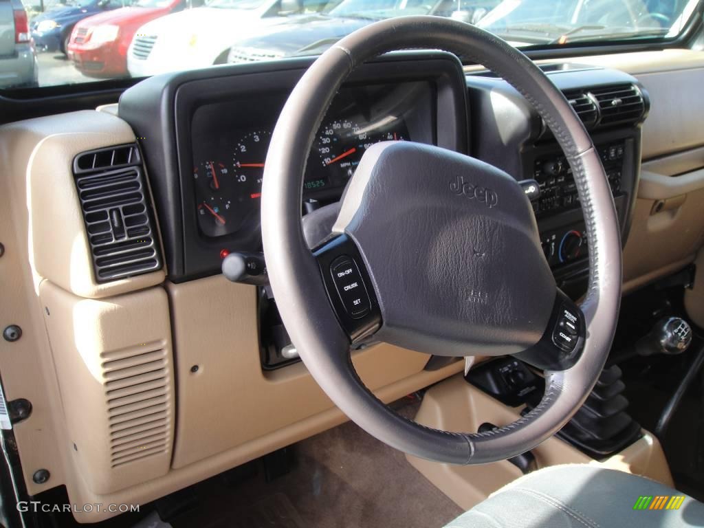 2002 Wrangler Sahara 4x4 - Black / Camel Beige/Dark Green photo #8