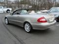 Pewter Metallic - CLK 350 Cabriolet Photo No. 7