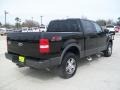 2004 Black Ford F150 FX4 SuperCrew 4x4  photo #3