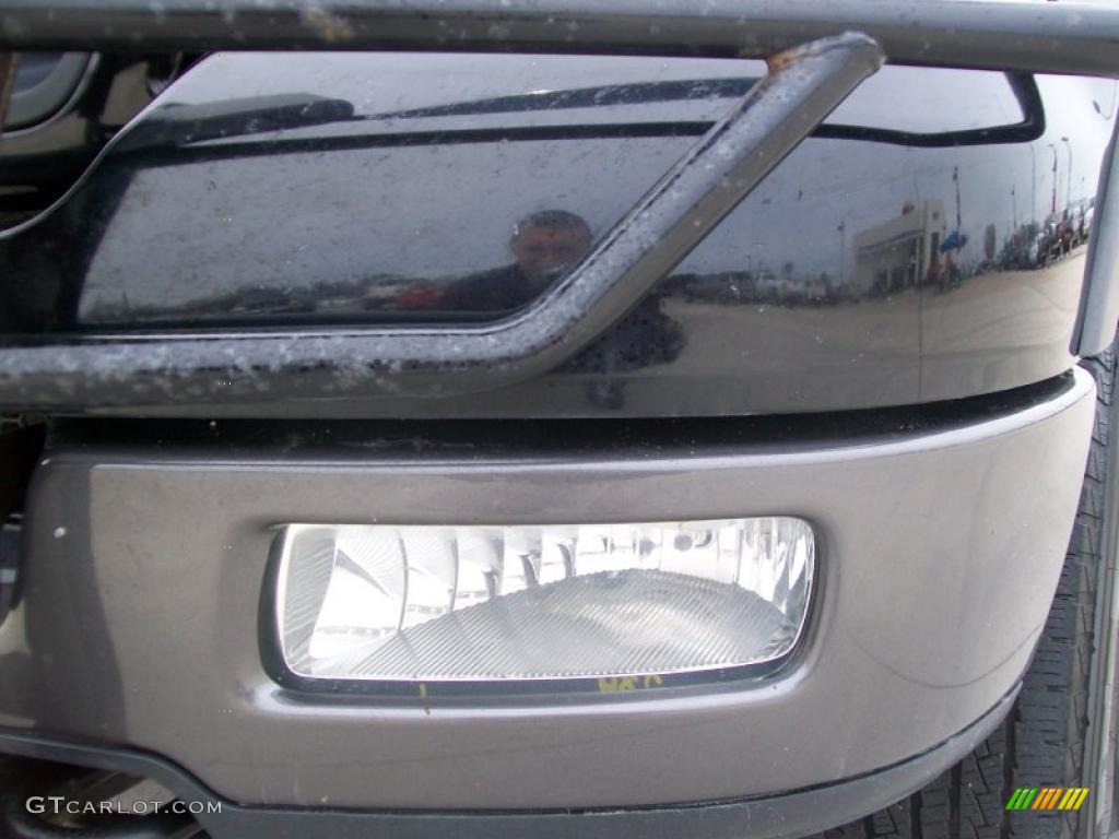 2004 F150 FX4 SuperCrew 4x4 - Black / Black/Medium Flint photo #8