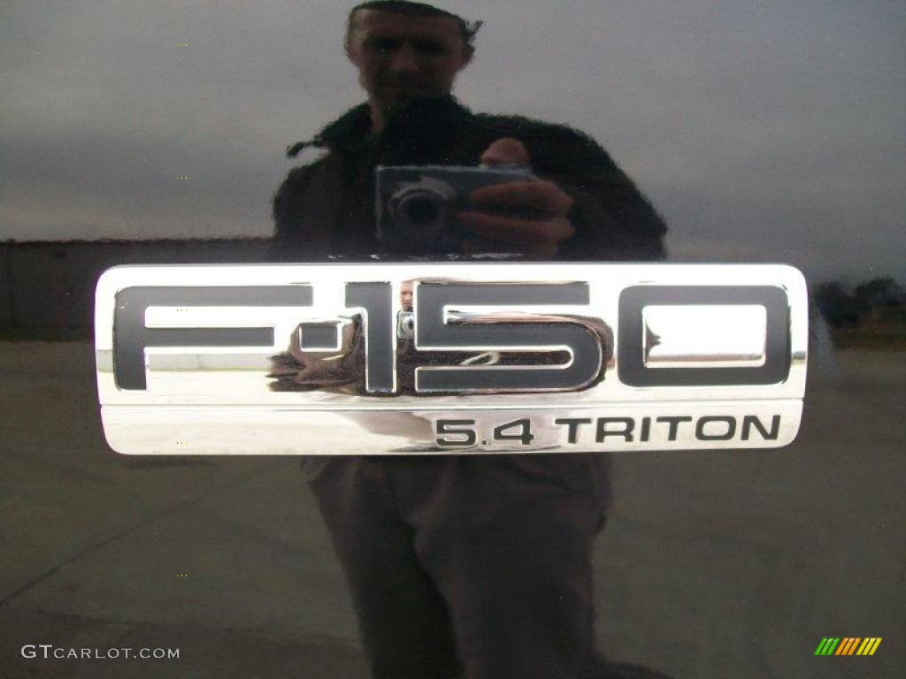 2004 F150 FX4 SuperCrew 4x4 - Black / Black/Medium Flint photo #12