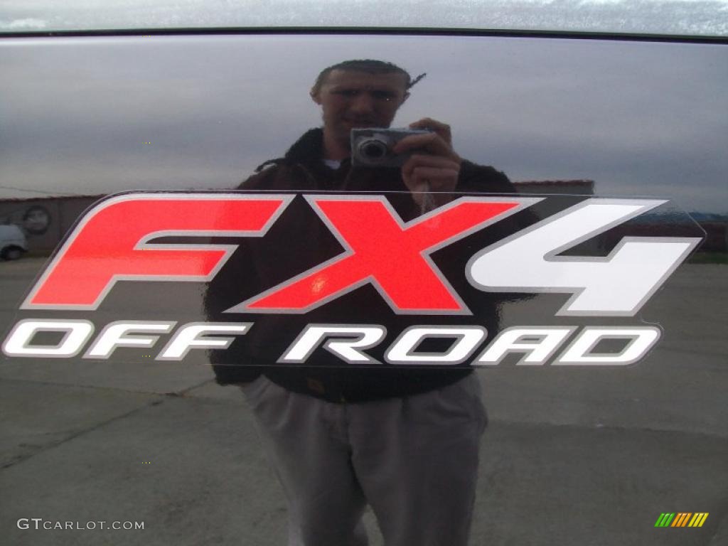 2004 F150 FX4 SuperCrew 4x4 - Black / Black/Medium Flint photo #15