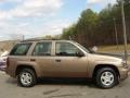 2003 Sandalwood Metallic Chevrolet TrailBlazer LS  photo #1