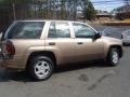 2003 Sandalwood Metallic Chevrolet TrailBlazer LS  photo #4