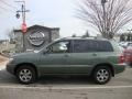 Oasis Green Pearl - Highlander V6 Photo No. 9
