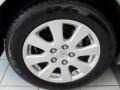 Titanium Metallic - Camry XLE Photo No. 33